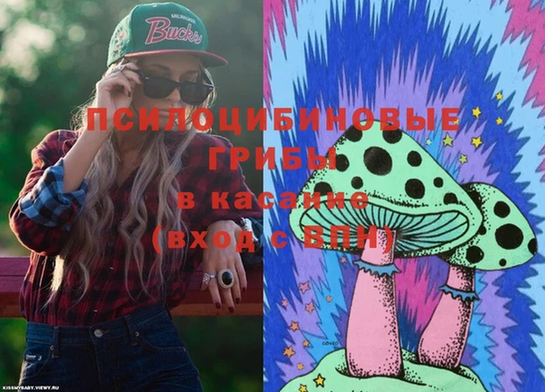 крисы Алексеевка