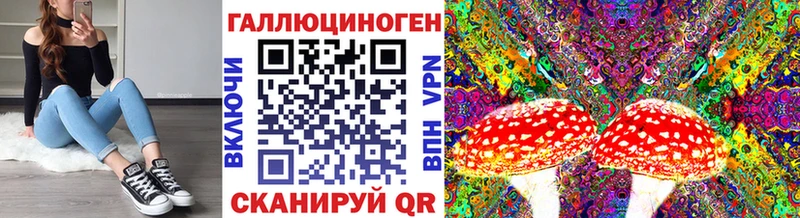 Псилоцибиновые грибы прущие грибы  Рошаль 